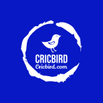 cricbird